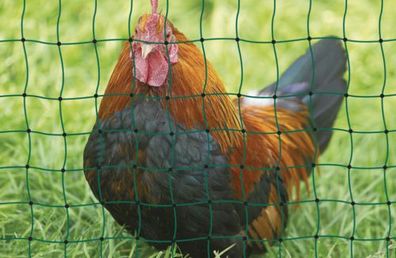 Kerbl Hühnernetz grün - 50 m Rolle inkl. Kunststoffpfähle verstärkt Zaun Maschen