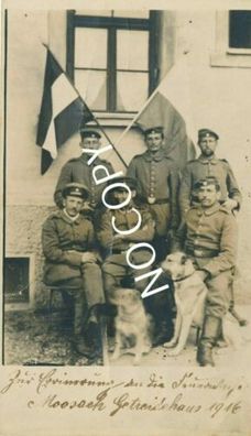 Foto PK WK I Kameraden Uniform Hunde Getreidehaus Moosach 1916 H1.17