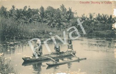 Foto PK S.M.S. Geier Kaiserl Kriegsmarine Weltreise Krokodil Jagd Ceylon H1.12