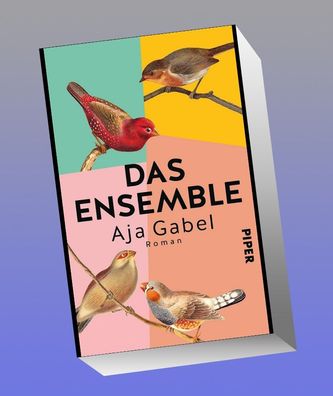 Das Ensemble: Roman, Aja Gabel