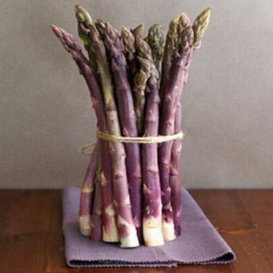 Französische Spargel - Precoce d´Argenteuille - Asparagus 10+ Samen Seeds K 030