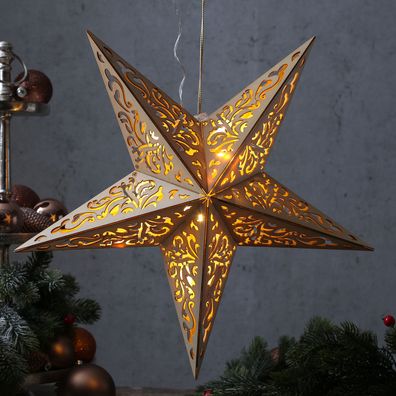 LED Holzstern Weihnachtsstern Leuchtstern 10LED hängend 5-zackig 40cm natur
