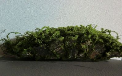Rindenschale mit Moos künstlich, 40 cm lang, Farbe Grün/ Braun