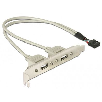 DeLOCK Slotblech 2 x USB 2.0 Typ A - DeLOCK 71000 - (PC Zubehoer / Kabel / Adapter)