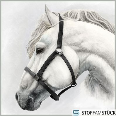 Stoff Kissen Panel Kunstleder Schimmel 45 cm x 45 cm digital bedruckt Pferd
