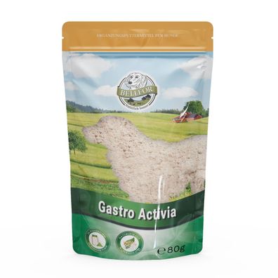 Gastro Activia - Pulver - 80g