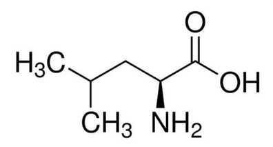 L-Leucin (98,5-101,5%, USP, Food Grade)