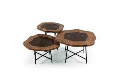 Couchtisch Holz braun Kaffeetisch Designer Wohnzimmertisch Tische 3x