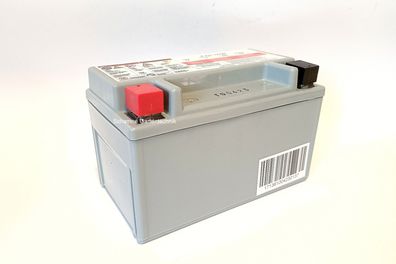 Original MTD Batterie 725-17136