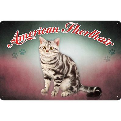 vianmo Blechschild 20x30 cm gewölbt Tier Katze American Shorthair Wanddeko