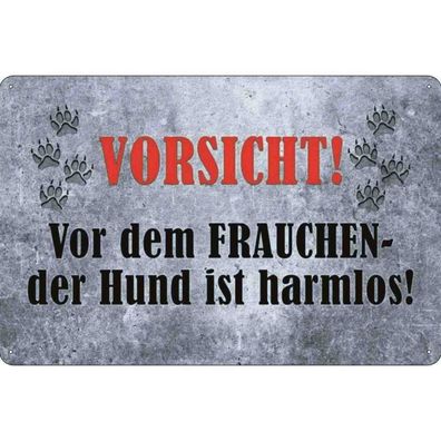 vianmo Blechschild 20x30 cm gewölbt Warnung Vorsicht Frau Hund harmlos