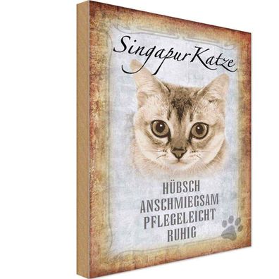vianmo Holzschild 20x30 cm Tier Singapur Katze Geschenk Metal