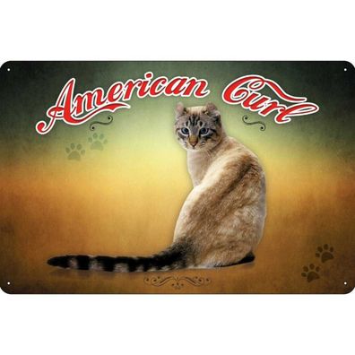 vianmo Blechschild 20x30 cm gewölbt Tier Katze American Curl Metall Wanddeko