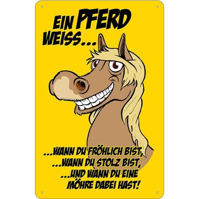 Blechschild Wandschild Metallschild 20x30 cm - Ein Pferd weiss wann fröhlich