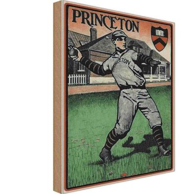vianmo Holzschild 20x30 cm Sport Hobby Princeton Baseball