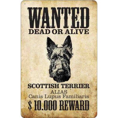 Blechschild 20x30 cm - Hund wanted Scottish Terrier Metal