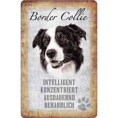 vianmo Blechschild 18x12 cm gewölbt Tier Border Collie Hund Geschenk