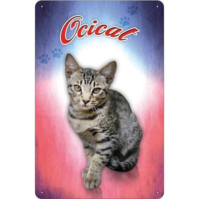 vianmo Blechschild 20x30 cm gewölbt Tier Katze Ocicat Wanddeko
