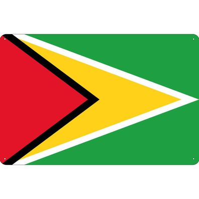 vianmo Blechschild Wandschild 20x30 cm Guyana Fahne Flagge
