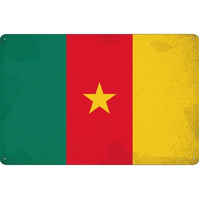 vianmo Blechschild Wandschild 20x30 cm Kamerun Fahne Flagge