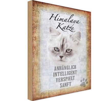 vianmo Holzschild 20x30 cm Tier Himalaya Katze sanft Geschenk