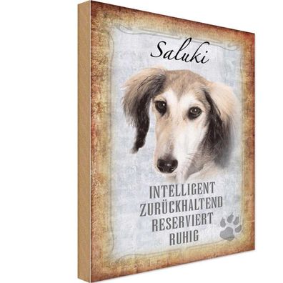 Holzschild 18x12 cm - Saluki Hund Ruhig