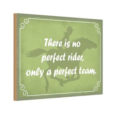 Holzschild 18x12 cm - There Is No Perfect Rider Only