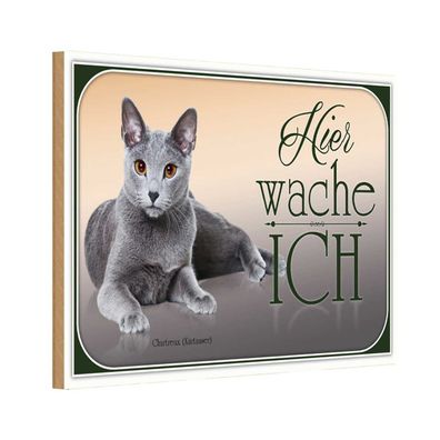 Holzschild 20x30 cm - Katze Chartreux Hier Wache Ich