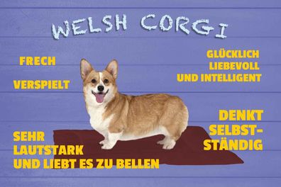 Blechschild 20x30 cm - Welsh Corgi Hund frech verspielt