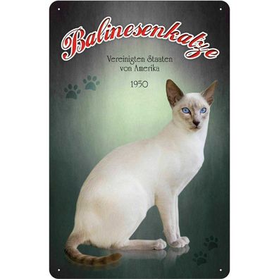 Blechschild 20x30 cm - Katze Balinesenkatze Amerika 1950