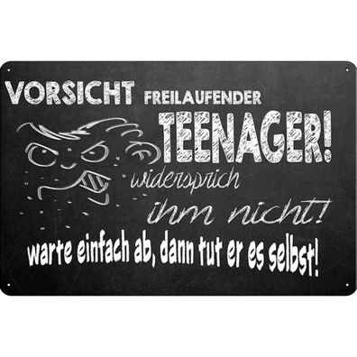 Blechschild 18x12 cm - Vorsicht freilaufender Teenager