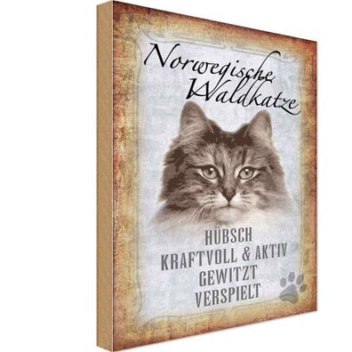 Holzschild 20x30 cm - norvegische Waldkatze Katze Wanddeco
