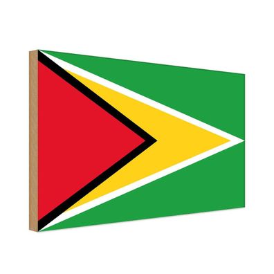 vianmo Holzschild Holzbild 20x30 cm Guyana Fahne Flagge