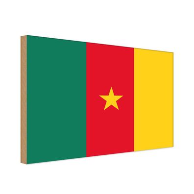 vianmo Holzschild Holzbild 20x30 cm Kamerun Fahne Flagge