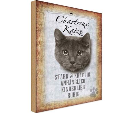 Holzschild 20x30 cm - Chartreux Katze stark Geschenk