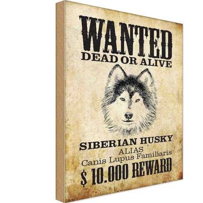 Holzschild 20x30 cm - Hund wanted Siberian Husky Geschenk