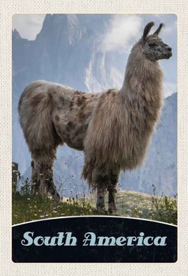 Blechschild 20x30 cm - Süd Amerika Lama Gebirge Wiese