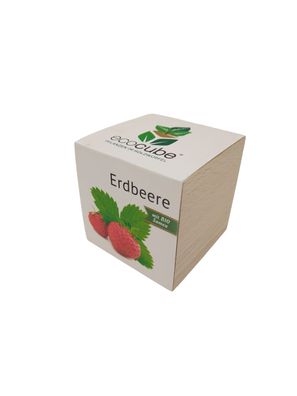 Feel Green ecocube "Kräuter" Der wachsende Holzwürfel Erdbeere Pflanze im Holz