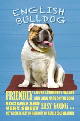 Blechschild 20x30 cm - English Bulldog Hund friendly