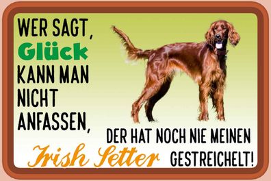 vianmo Blechschild 18x12 cm gewölbt Tier Glück Irish Setter Hund
