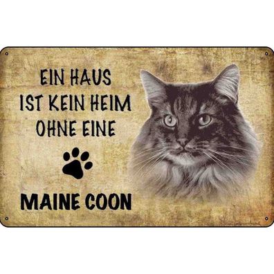 Blechschild 18x12 cm - Maine Coon Katze ohne kein Heim