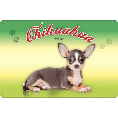 vianmo Blechschild 20x30 cm gewölbt Tier Hund Chihuahua Mexiko Metall Wanddeko