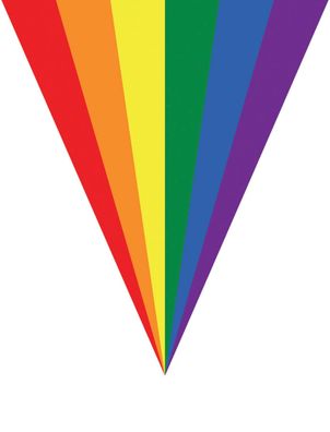 Regenbogen Girlande Pride Fahnengirlande Wimpelkette Rainbow 10 Fahnen 5 m lang