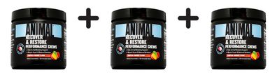 3 x Universal Nutrition Animal Recover and Restore Performance Chews (120) Tropical M