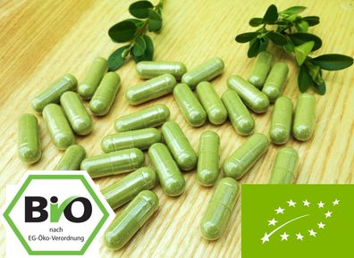 Bio Moringa Kapseln 500 mg - vegan - Premium Rohkost Qualität Spar Pack