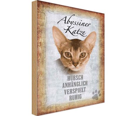 Holzschild 18x12 cm - Abyssiner Katze hübsch verspielt