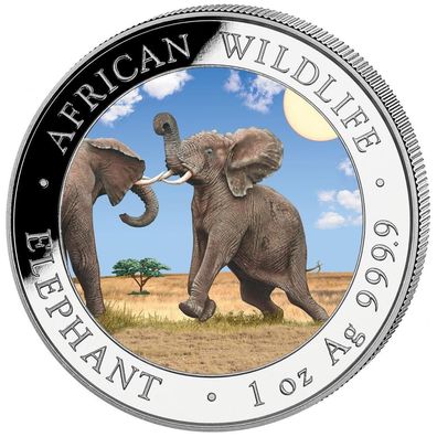 Silbermünze 1 oz Somalia Elefant 2024 Tagdesgin / Farbe 999 African Wildlife