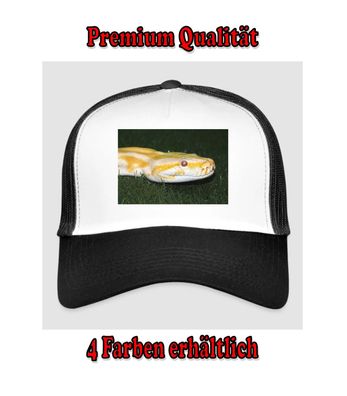 Reptilien Echsen Schlangen Spinne Cap Kappe Bedruckt Fun 4 Farben erhältlich (290)