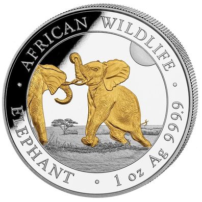 Silbermünze Somalia Elefant 2024 gilded African Wildlife 1 oz 999 Silber