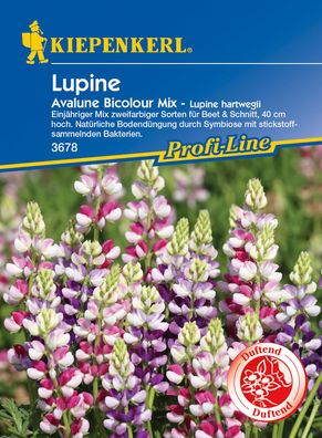 Kiepenkerl® Lupinen Avalune Bicolor Mix - Blumensamen